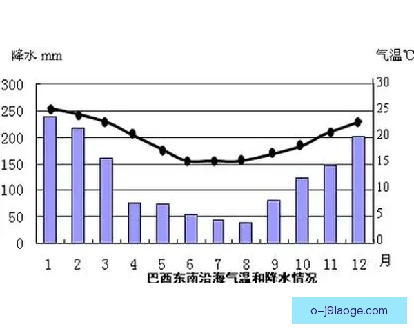 从伤病判罚到天气赛程解析世界杯比赛不确定性因素战术心理与偶然性